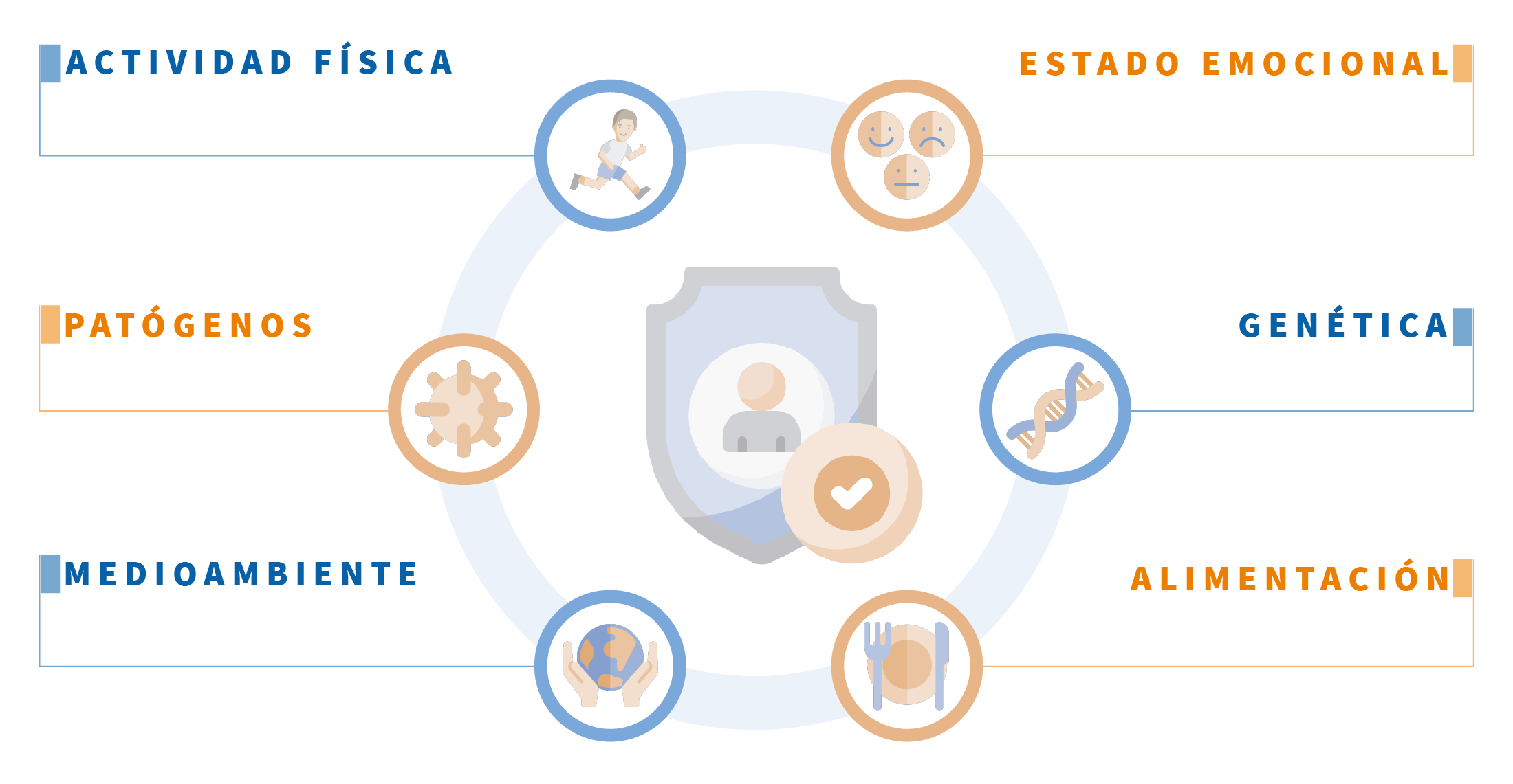 Infografía Sistema Inmune V2 Sistema inmune